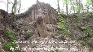 Mississippi petrified forest is situated southwest of flora. Petrified Forest Flora Mississippi Youtube