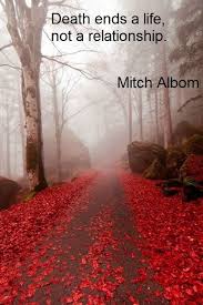 We always make sure that writers follow all your instructions precisely. 22 Mitch Albom Quotes Ideas Mitch Albom Quotes Quotes Mitch Albom