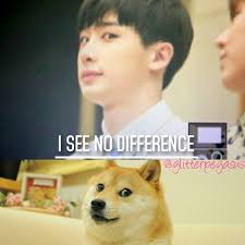 A collection of the top 47 doge wallpapers and backgrounds available for download for free. Wonho X Doge Uploaded By Monbebe On We Heart It