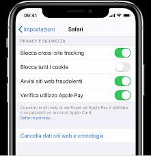 Il nostro servizio l'aiuterà a tradurre il testo dalla foto. Come Cancellare La Cronologia E I Cookie Da Safari Su Iphone Ipad O Ipod Touch Supporto Apple