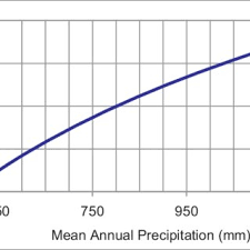 Image result for Acacia tenuispina