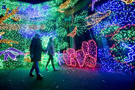 Oregon Zoolights Adjust For Covid 19 With Drive Through Event Yaktrinews Com