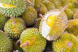 Penggemar durian pernah sekadar menelan air liur sewaktu harga raja buah itu terutama buah durian kahwin seperti musang king mencecah lebih rm30 sebiji. Kenali Raja Buah Malaysia 7 Jenis Durian Terbaik Yang Perlu Dinikmati Sekarang