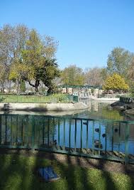 Gregory Bert “Greg” Kosut (1950-1993)