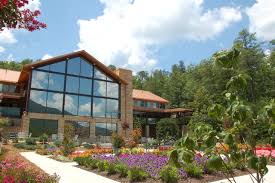 Smoky Mountain Lodge Tennessee Pasadena Villa Treatment Network