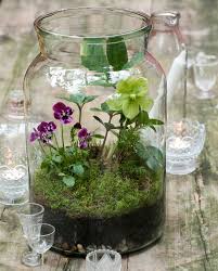 Diy Glass Jar Terrarium Succulents In Glass Plant In Glass Small Flower Gardens