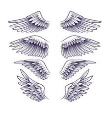 To fully understand how to draw wings realistically in every position you need to first learn how they work and what's the purpose of their shape. Angel Wing Vector Images Over 30 000