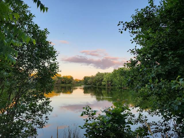 Footbridge over a pond in a park, representative of the Waldon Pond trail area in Markville