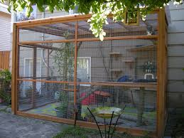 If you want your garden to be gorgeous, you'll need to take steps to keep it. Http Www Google Es Blank Html Diy Cat Enclosure Cat Patio Outdoor Cat Enclosure