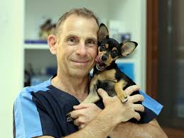 We believe it is also essential to include you as the pet owner in the decision making process related to the care and happiness of your pets. How Covid 19 Has Affected Pet Care Costs In The Uae