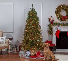 7 5ft Pre Lit Ashland Pine Artificial Christmas Tree Pottery Barn