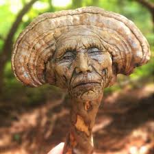 Weird, Strange and Interesting Things