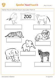Name The Spanish Zoo Animals Zoo Animals Zoo Zoo Animals Names