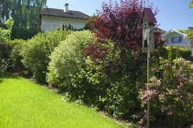 Farbenfroher Sichtschutz Blutenhecken Anlegen Und Pflegen Garten Hecken Stauden Blutenhecke