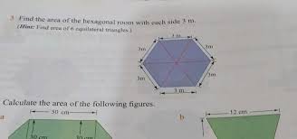 Find The Area Of The Hexagonal Room With Onch Sido 3 Mathrm M