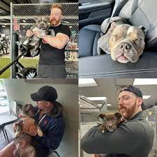 Beloved dog has passed away