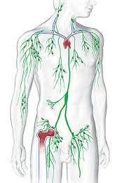 Onkologie Bochum Maligne Lymphome