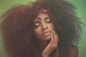 Profile for The Hyesta Collective