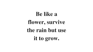 20 Quotes About Change To Guide You In Challenging Times 5 Min Read