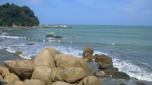 We did not find results for: Penjarakan Fizikal Pengunjung Teluk Cempedak Tidak Boleh Lebih 1 000 Alhijrah Online