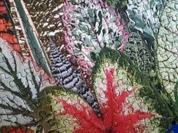 Get it as soon as fri, feb 26. Houseplant Jungle 1000 Piece Puzzle By Galison 9780735359611 For Sale Online Ebay
