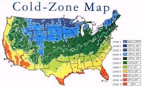 Cold Zone Chart