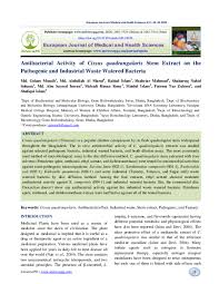 Image result for Cissus welwitschii