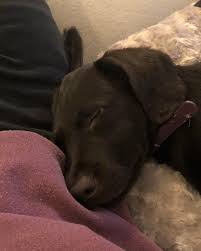 Kontakta bianca wahlgren ingrosso, 26 år, stockholm. Phillipe Cohen Flippcohen Instagram Photos And Videos