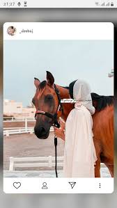 pin by عطر ياسمين on مرات الحفظ السريع in 2021 instagram story horses animals