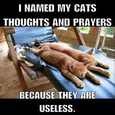 We did not find results for: Thoughts Prayers And Best Wishes 9gag