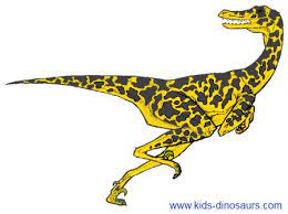 The meaning of its name is 'quick. Velociraptors Facts For Kids