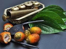 ( korus 2 ) dalam seikat daun sirih mana boleh tak boleh jumpa sehelai sirih bertemu urat dalam seikat daun sirih mana boleh tak boleh jumpa sehelai sirih bertemu urat. P E M E N A N G On Twitter Sirih Bertemu Urat