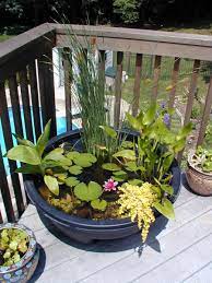 Hgtv Made This Comprehensive Guide To Container Water Gardening A Pond In A Pot Requires Little Maintena Container Water Gardens Little Gardens Ponds Backyard