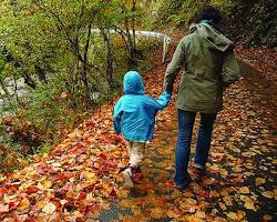 Image de Promenade dans la nature