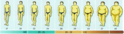 Bmi Chart For Men Calculate Your Body Mass Index With Our