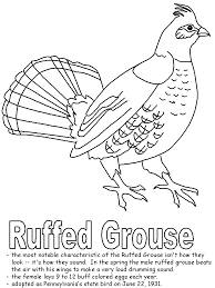 They are also some of our favorite members of the pennsylvania wildlife family. Ruffed Grouse Coloring Page