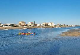 Image result for Faroa duvigneaud