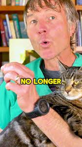 Dr. Andrew Jones -...