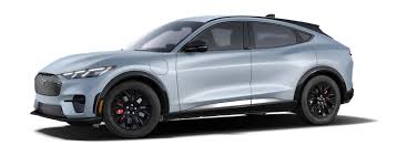 Image result for Power Tan 2025 Fleet