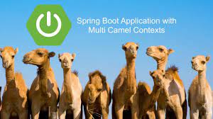 Above route will run every 12 hours. How To Configure Multiple Camel Contexts In The Spring Boot Application