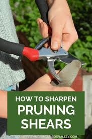 Before sharpening hand shears, clean the blade area, and then, sharpen the hand shears by rubbing the blades with a file. How To Clean And Sharpen Pruning Shears And Other Garden Tools