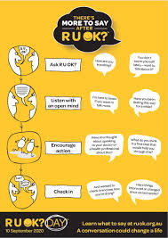 You can also read it as an invitation to do a comedy routine where you're both super brainy and dry. There S More To Say After R U Ok Dr Romana Bowd Psychology