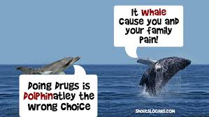 Check spelling or type a new query. 50 Anti Drugs Slogans Posters And Memes For Kids