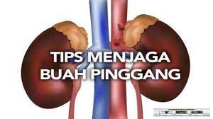 Mitos ubat hospital punca buah pinggang rosak | mhi (17 mac 2021). Sebab Buah Pinggang Rosak Dan Tips Menjaga Buah Pinggang Youtube