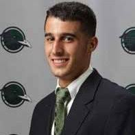 100+ "Serpa" profiles