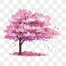 Pink Romantic Cherry Blossom Tree Under The Cherry Blossoms Big Tree Cherry Blossom Cherry Tree Png Transparent Clipart Image And Psd File For Free Download Cherry Blossom Background Pink Flowers Background