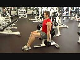 The elbows should be close to the torso. Seated Alternating Dumbbell Bicep Curl Youtube