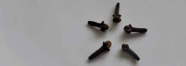 Contre le mal de dents, point de salut en attendant le dentiste me direz vous ? Clou De Girofle Contre Mal De Dent 4 Facons De L Utiliser Choisissez Votre Arme