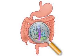 Sering Dialami Banyak Orang Inilah 3 Jenis Gangguan Pencernaan Dan Cara Mengatasinya Semua Halaman Bobo