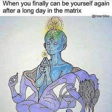 Pin By The Awakened Oracle On Ha Funny Spiritual Memes Memes Spirituality